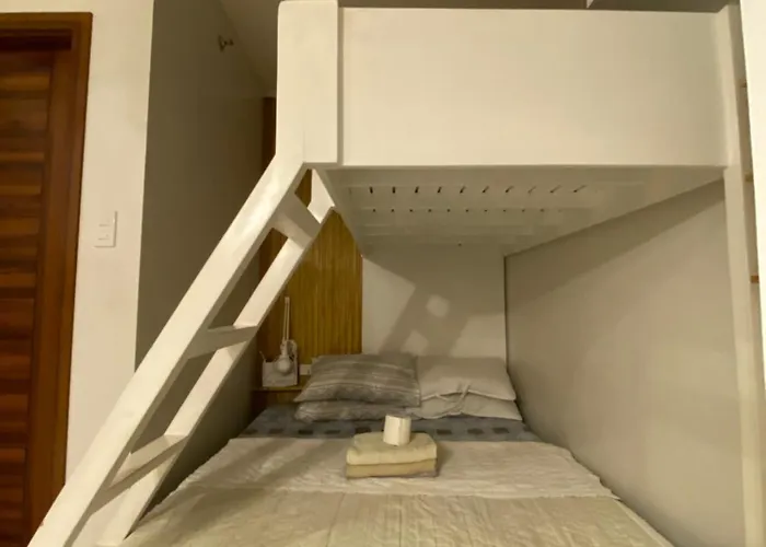 Carlota247